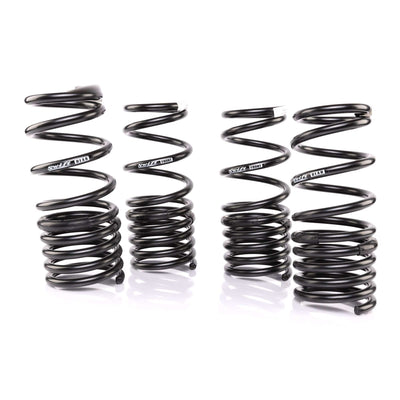 Swift Springs Lowering Springs Swift Springs Spec-R Lowering Springs (23+ Nissan Z)